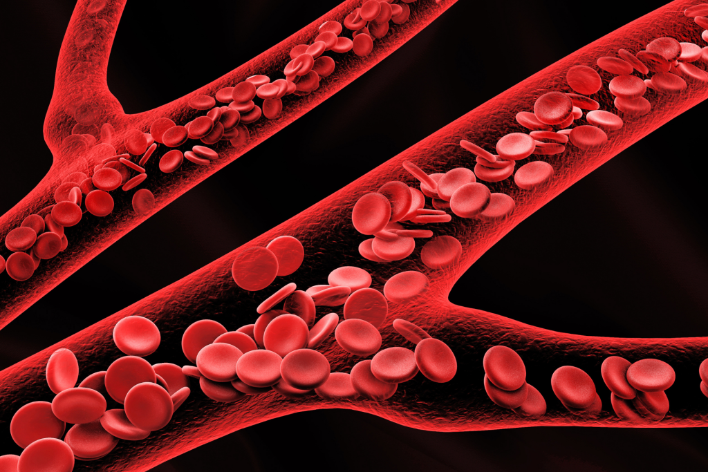 oksigen diangkut dalam darah oleh hemoglobin